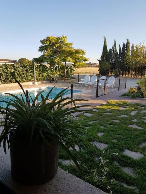 Casa Rural Alma Totanés المظهر الخارجي الصورة