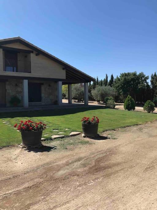 Casa Rural Alma Totanés المظهر الخارجي الصورة